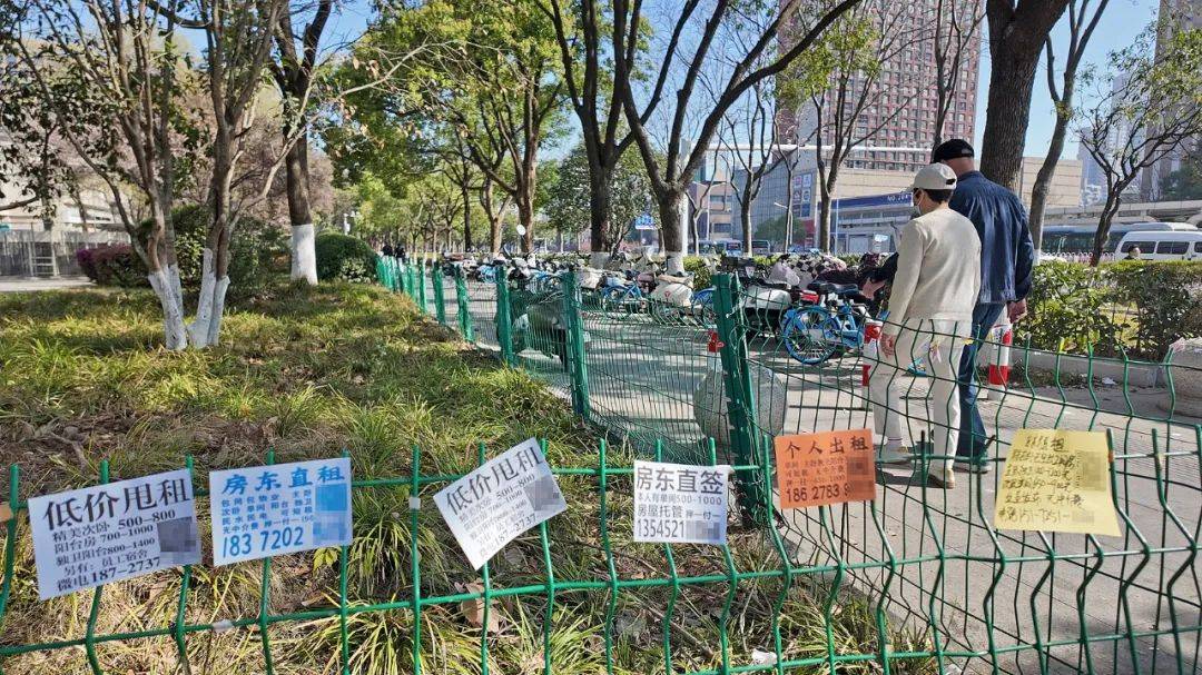 皇冠信用网哪里申请_一二线城市房租普降皇冠信用网哪里申请,房东主动降200留我