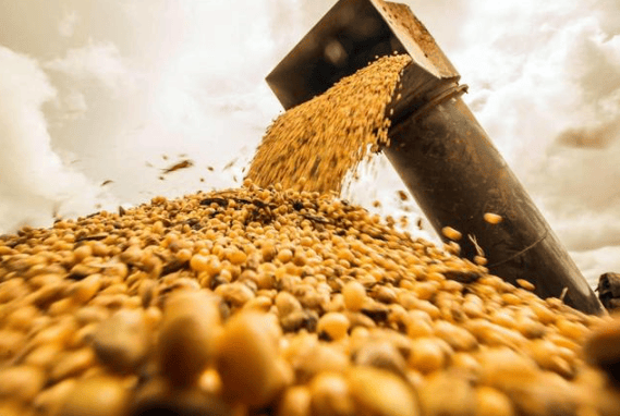 日本J2联赛_攻守易型了!中国又走了一步好棋日本J2联赛,出手签下3万吨大单,太罕见