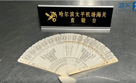 皇冠信用網代理
_一旅客因一把“漂亮折扇”在哈尔滨机场被查!经鉴定:非洲象象牙制品皇冠信用網代理
,净重61.7克