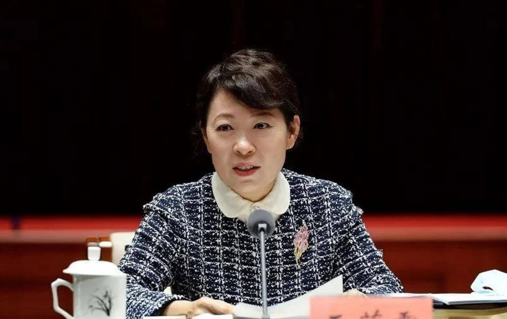 AC米兰vs克雷莫内塞_“换装主席”王莉霞的堕落：从光鲜人设到腐败深渊