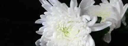 柏雷素尔vs横滨水手_乌军士兵乔装成俄军柏雷素尔vs横滨水手，与俄士兵寒暄，随后趁其不备将两名俄军枪杀，无人机拍下全过程