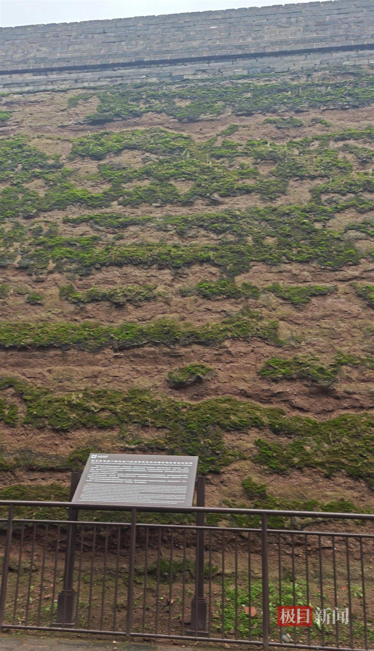 怎么开皇冠信用_西安连续一个多月降雨遍地长蘑菇怎么开皇冠信用，大雁塔受潮，城墙布满青苔，气象局解释成因