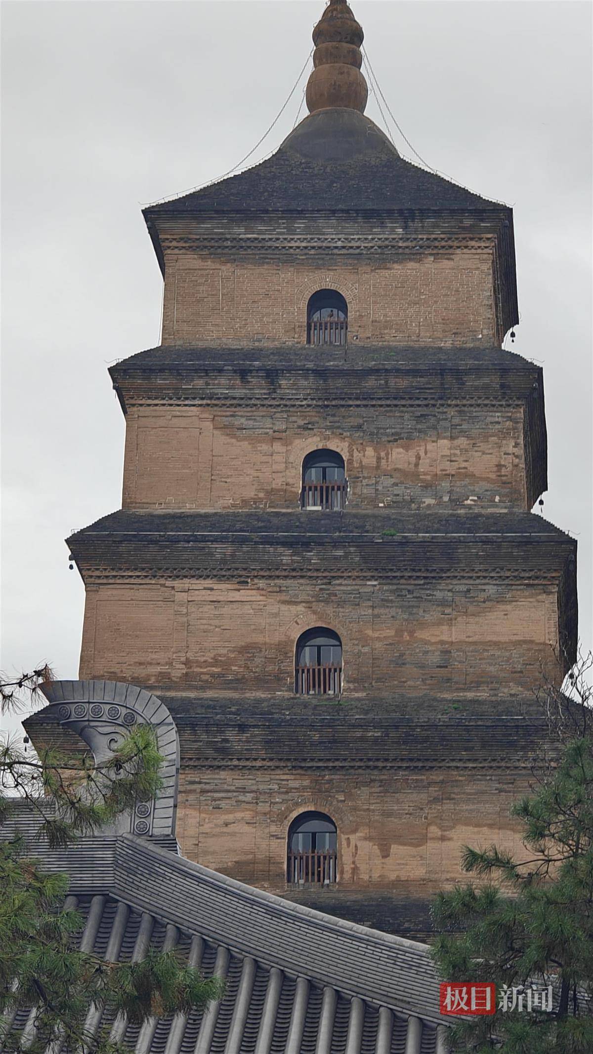 怎么开皇冠信用_西安连续一个多月降雨遍地长蘑菇怎么开皇冠信用，大雁塔受潮，城墙布满青苔，气象局解释成因