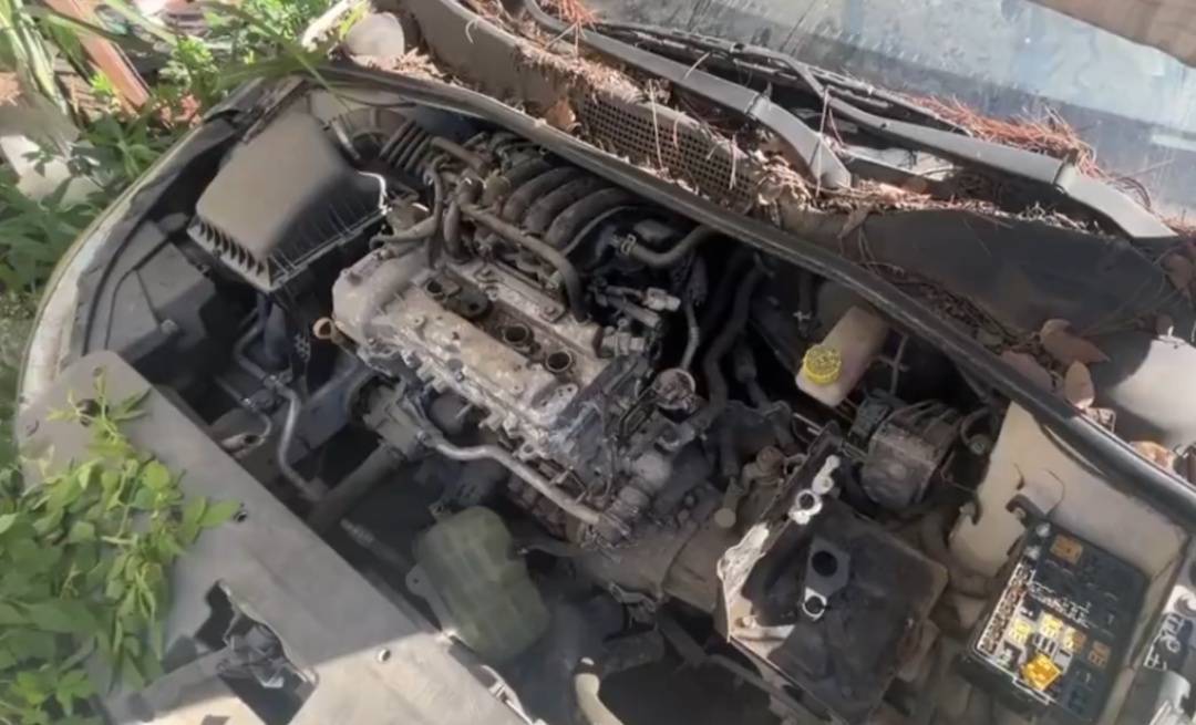 皇冠信用網代理申条件
_浙江男子把私家车停路边两年皇冠信用網代理申条件
,一次也没去看过!如今要用车时傻眼:还能这样?