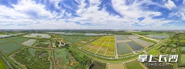 皇冠足球平台在哪里注册_荒滩变绿洲 湖畔起乐园｜一江碧水向东流
