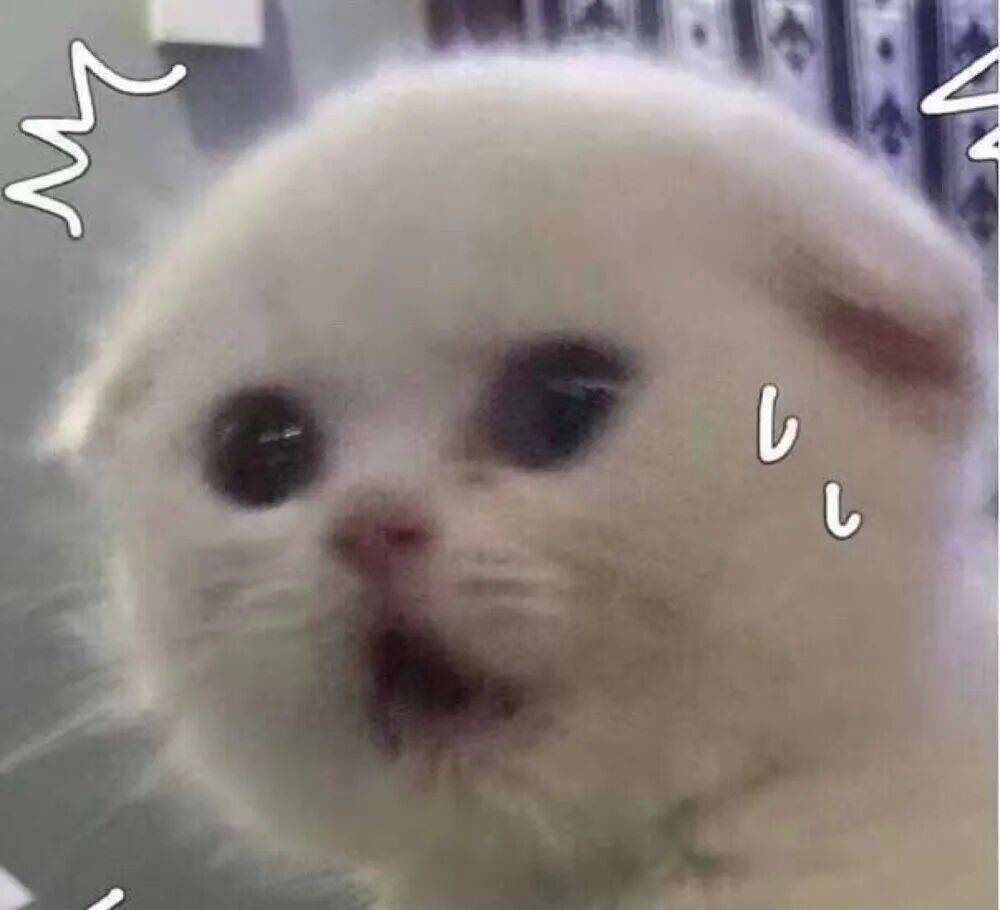 皇冠信用盘如何注册_上海一对婆媳因阻碍加梯皇冠信用盘如何注册，与五位邻居“大打出手”！