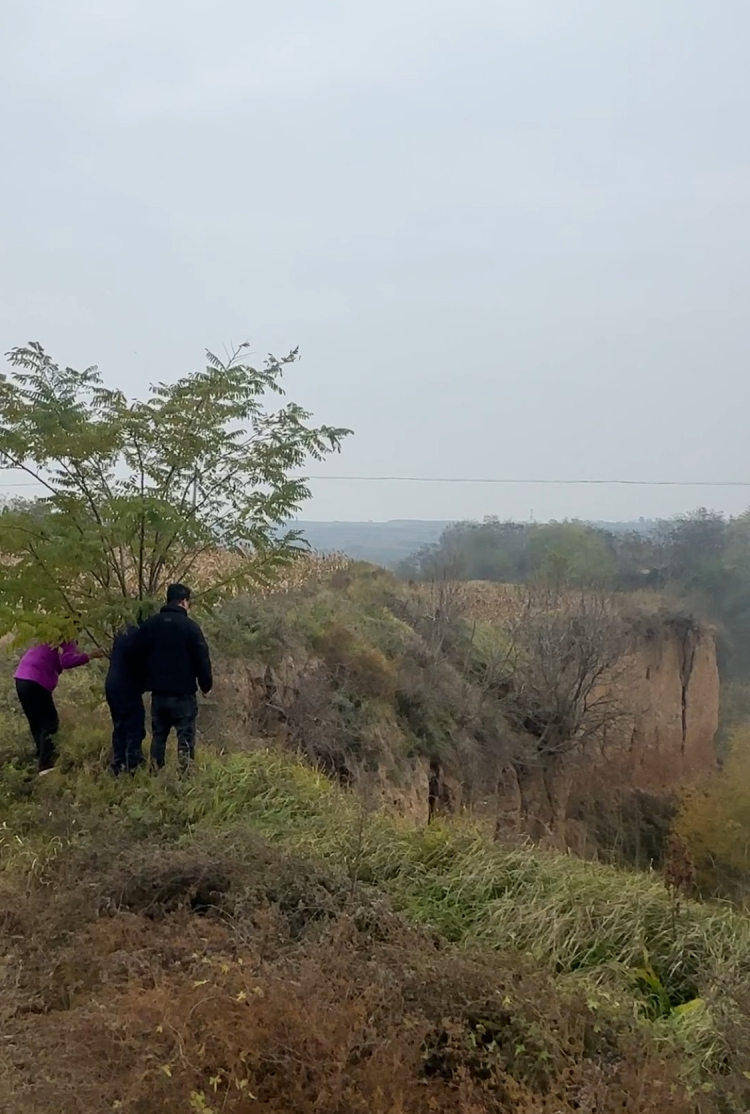 皇冠信用网登2代理
_陕西咸阳一男子打晕妻子误以为已死皇冠信用网登2代理
,将人扔下土崖致其死亡被公诉