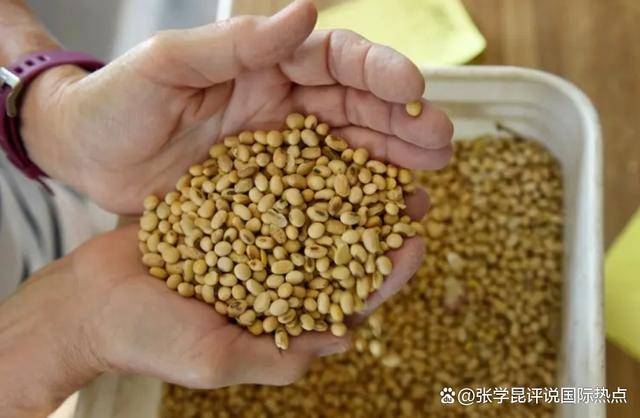 皇冠信用網开号_48小时内皇冠信用網开号，中方连下3令，特朗普别高兴太早，承诺一个都不能少