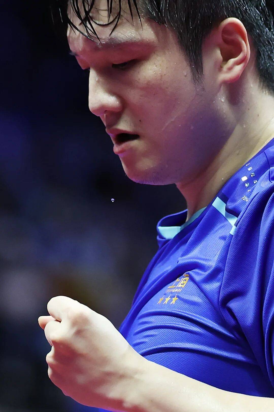 买球的正规网站_现场｜当樊振东把全运会打成舒适区买球的正规网站，我们要急着他回来吗？