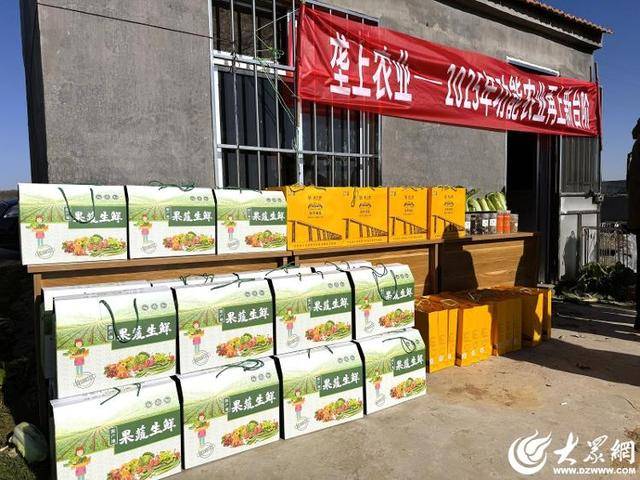 皇冠体育App下载_山东青岛：全国首批“板蓝根白菜”喜获丰收皇冠体育App下载，正式上市！首批10万棵已被上海采购商“包圆”