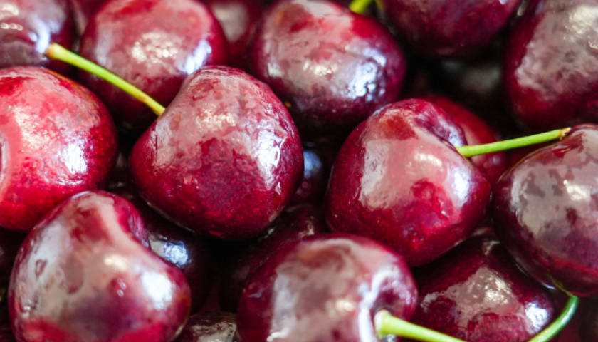 皇冠信用网代理注册_价格“大跳水”皇冠信用网代理注册!超50万吨智利车厘子将涌入中国