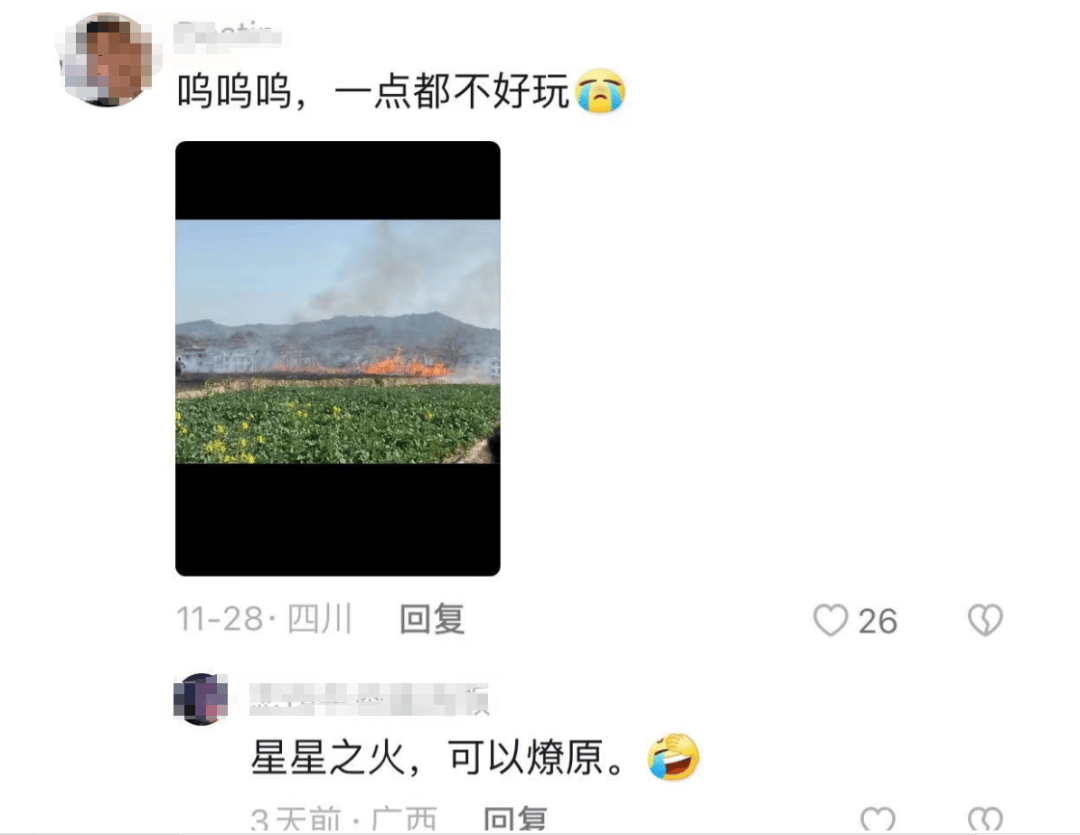 网上买球怎么买_柳州俩人竟在绿化带里“窑鸡”网上买球怎么买,鸡还未入窑就......
