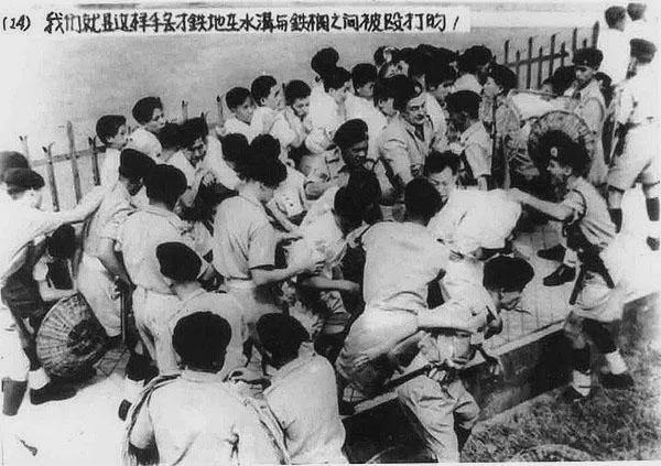 皇冠信用网登2_马来西亚华人被排挤但中文流利皇冠信用网登2，新加坡华人为何却主动抛弃中文？