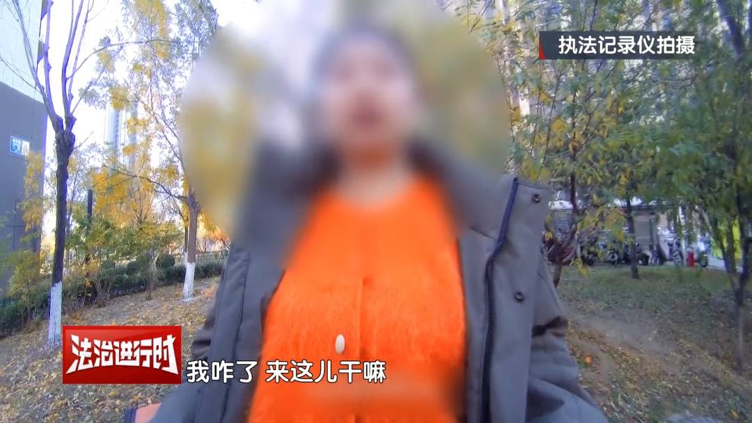 皇冠体育
_北京警方刑拘4人:父亲带着儿子和女儿“扫楼式盗窃快递”